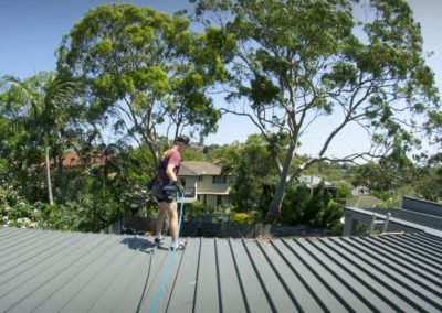 Gutter Cleaning