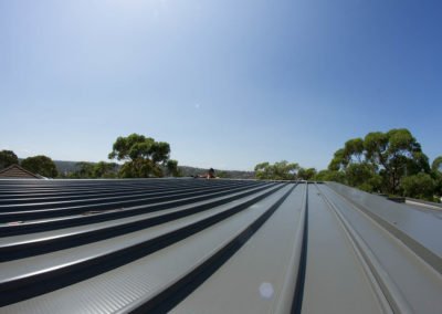 Gutter Cleaning